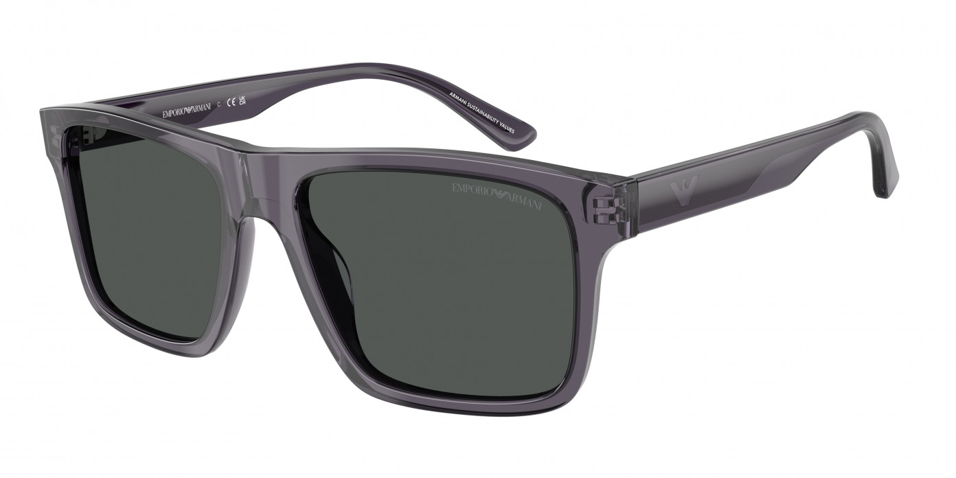 Emporio Armani  EA4232 610687 Transparent Dark Grey (Smoke)