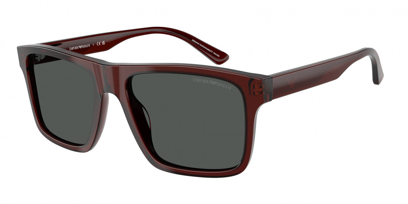 Emporio Armani  EA4232 617487 Transparent Brown (Smoke)