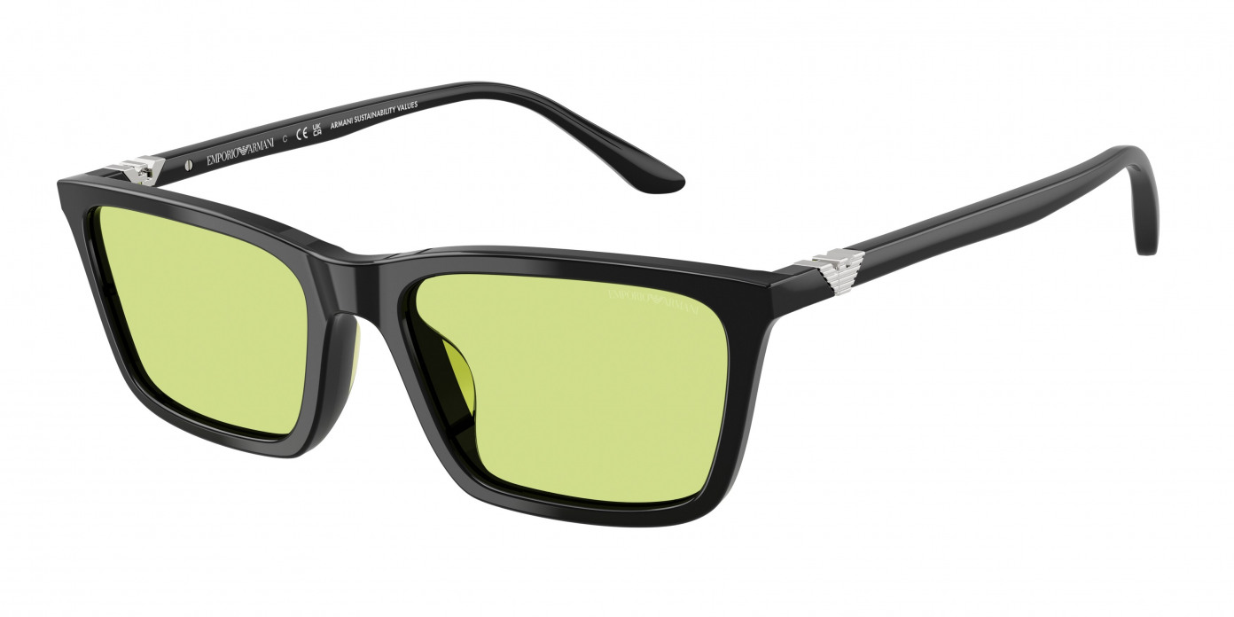 Emporio Armani  EA4239U 5017/2 Shiny Black (Green)