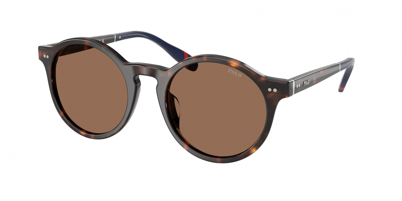Polo Ralph Lauren  PH4204U 567373 Shiny Dark Havana (Dark Brown)