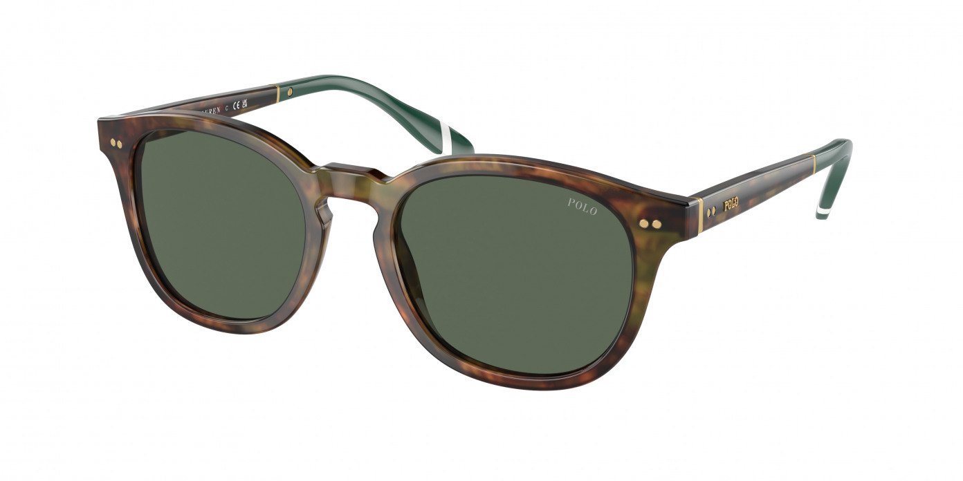 Polo Ralph Lauren  PH4206 501771 Shiny Brown Tortoise (Bottle Green)