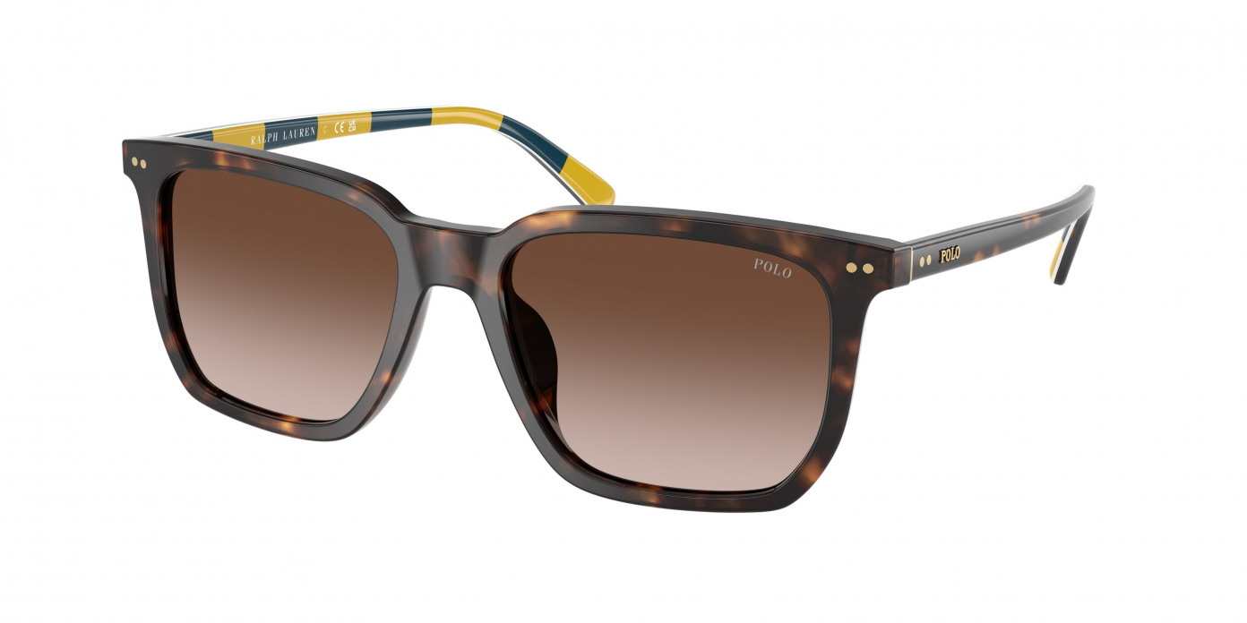 Polo Ralph Lauren  PH4224U 500313 Shiny Dark Havana (Gradient Dark Brown)