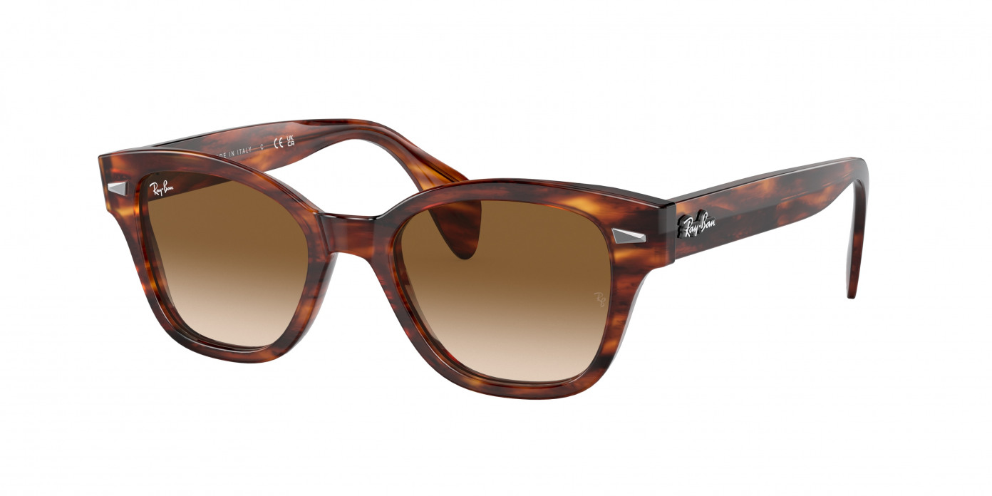 Ray-ban  RB0880S 954/51 Striped Havana (Brown)