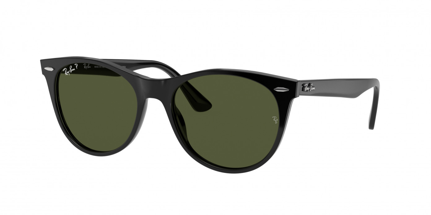 Ray-ban Wayfarer Ii RB2185 901/58 Black Polarized (G-15 Green)