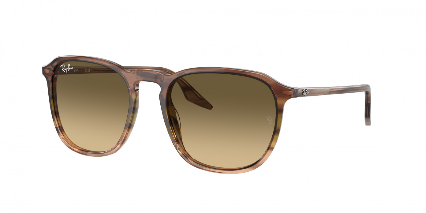 Ray-ban  RB2203 13920A Striped Brown & Green (Brown Vintage)