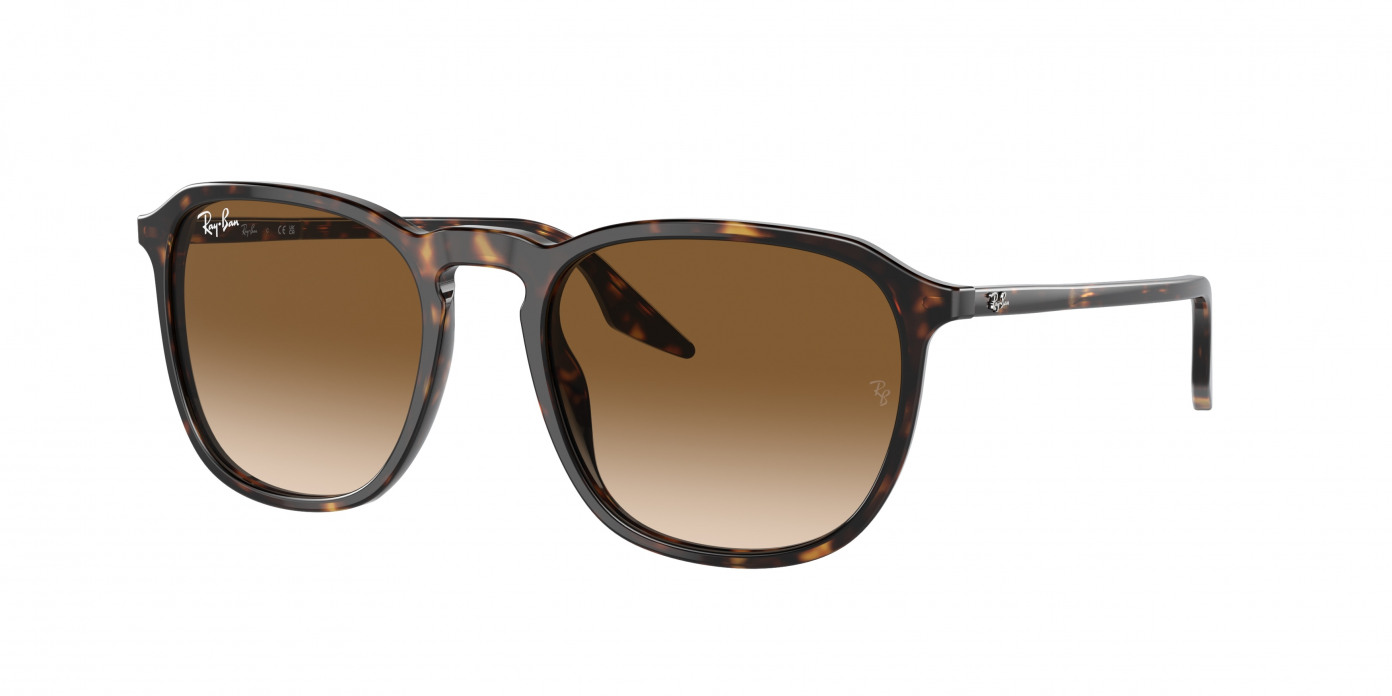 Ray-ban  RB2203 902/51 Havana (Clear/Brown)