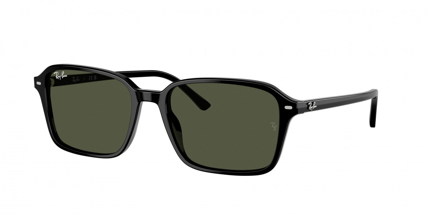 Ray-ban Raimond RB2231 901/31 Black (G-15 Green)