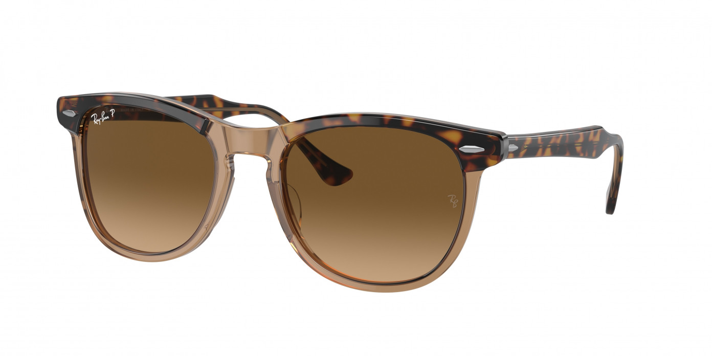 Price of ray ban spectacles deals