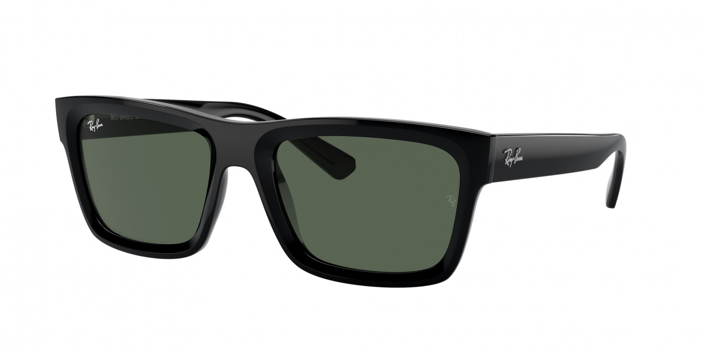 Ray-ban Warren RB4396 667771 Black (Dark Green)