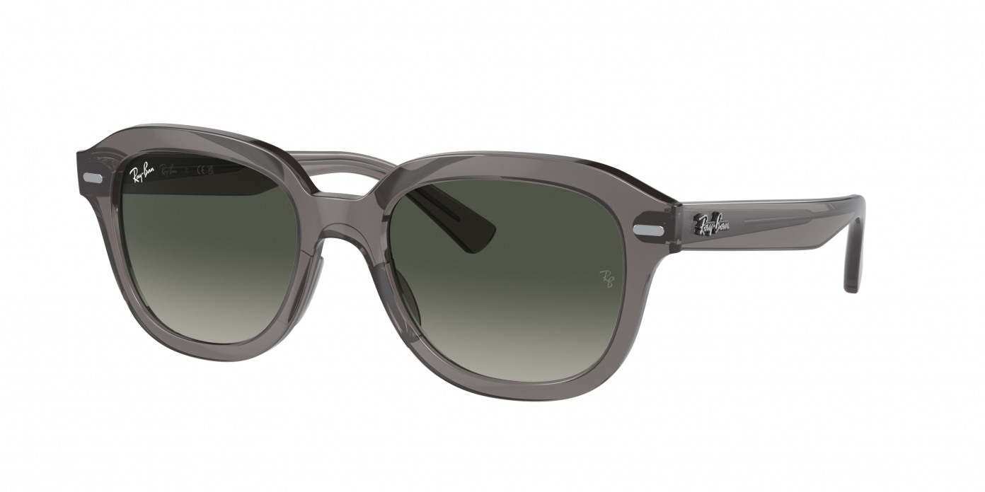 Ray-ban Erik RB4398 667571 Opal Dark Grey (Grey)