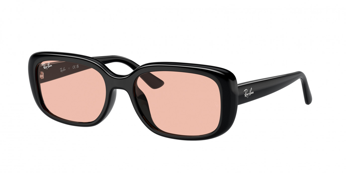 Ray-ban  RB4421D 667784 Black (Dark Pink)