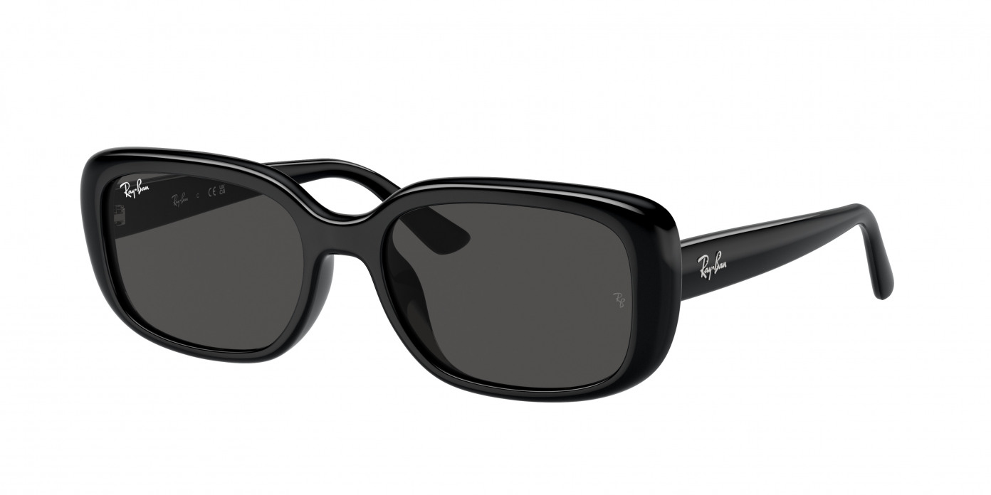 Ray-ban  RB4421D 667787 Black (Dark Grey)