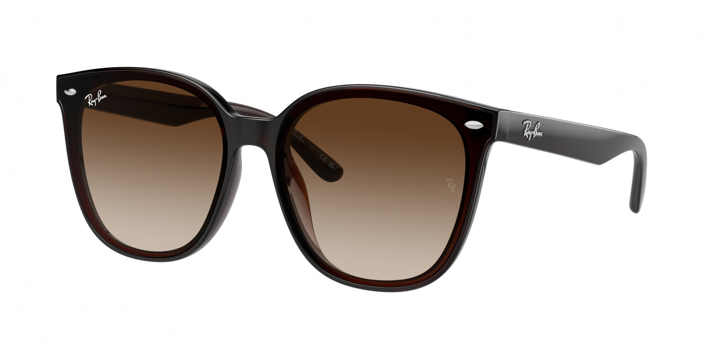 Ray-ban  RB4423D 714/13 Transparent Brown (Brown)