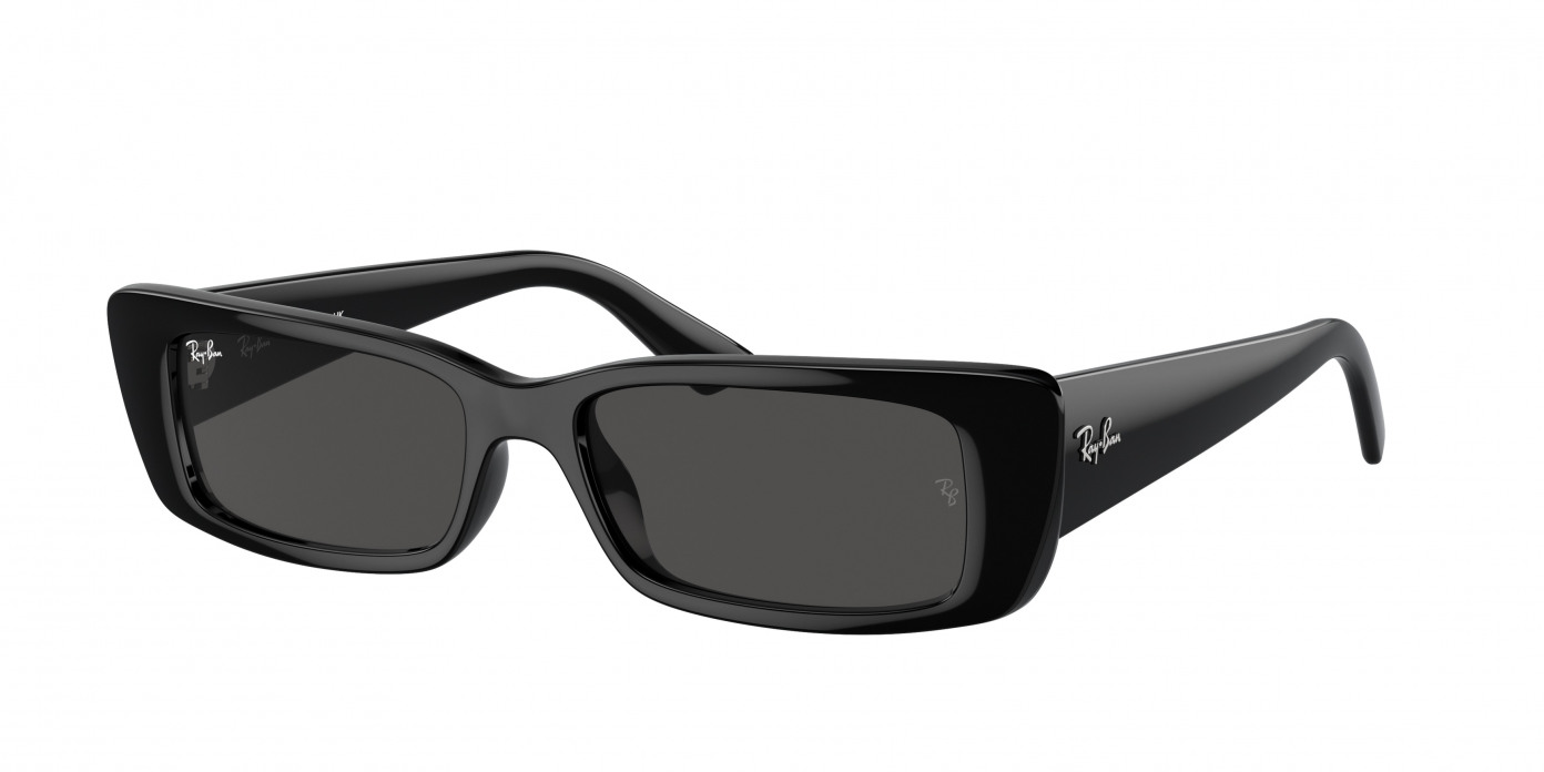 Ray-ban Teru RB4425 667787 Black (Dark Grey)