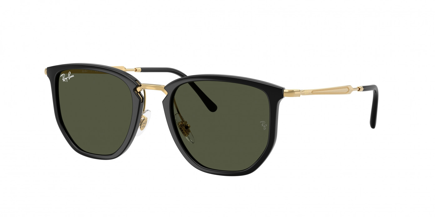 Ray-ban  RB4451 630631 Black (Green)