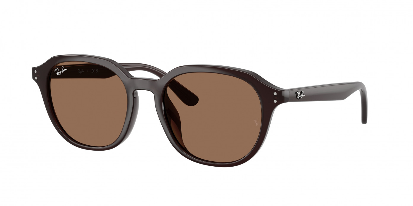 Ray-ban  RB4459D 623173 Opal Brown (Dark Brown)