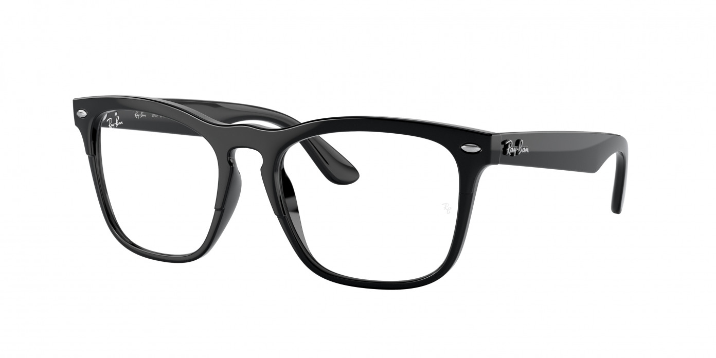 Ray-ban Steve RX4487V 8192 Black
