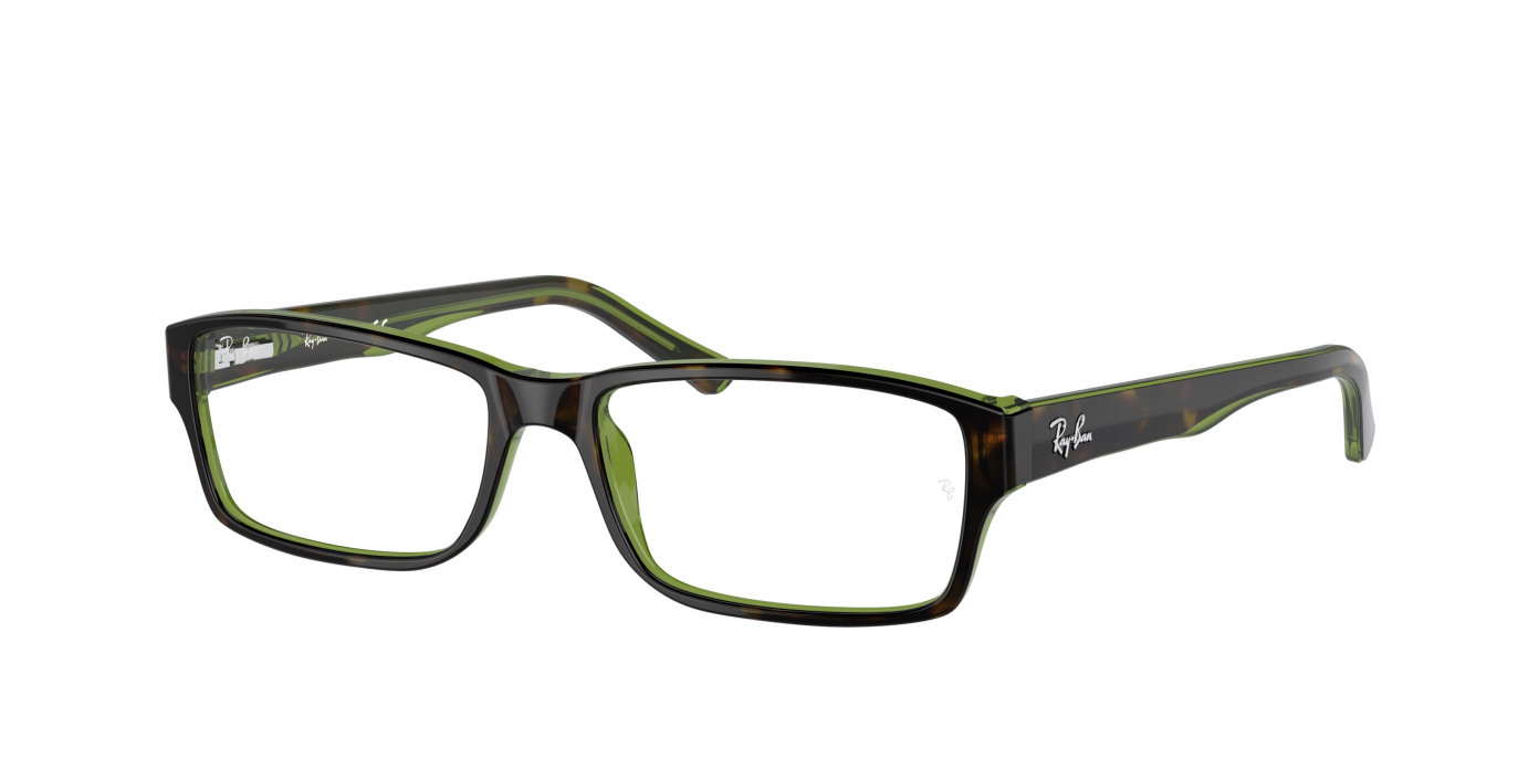 Ray-ban  RX5169 2383 Havana On Green