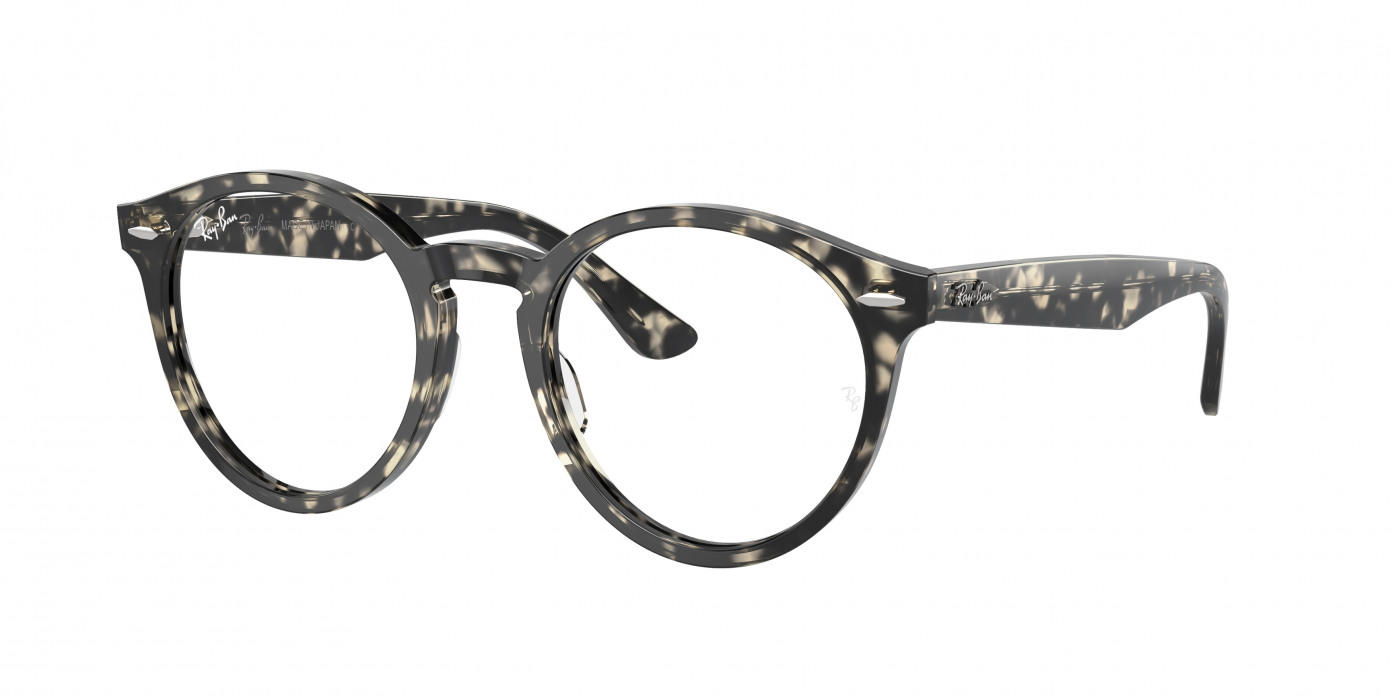 Ray-ban Larry RX7680V 8117 Grey Havana