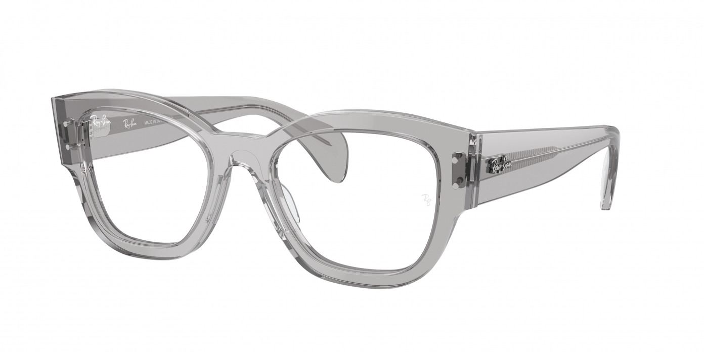 Ray-ban Jorge RX7681V 2102 Transparent Grey