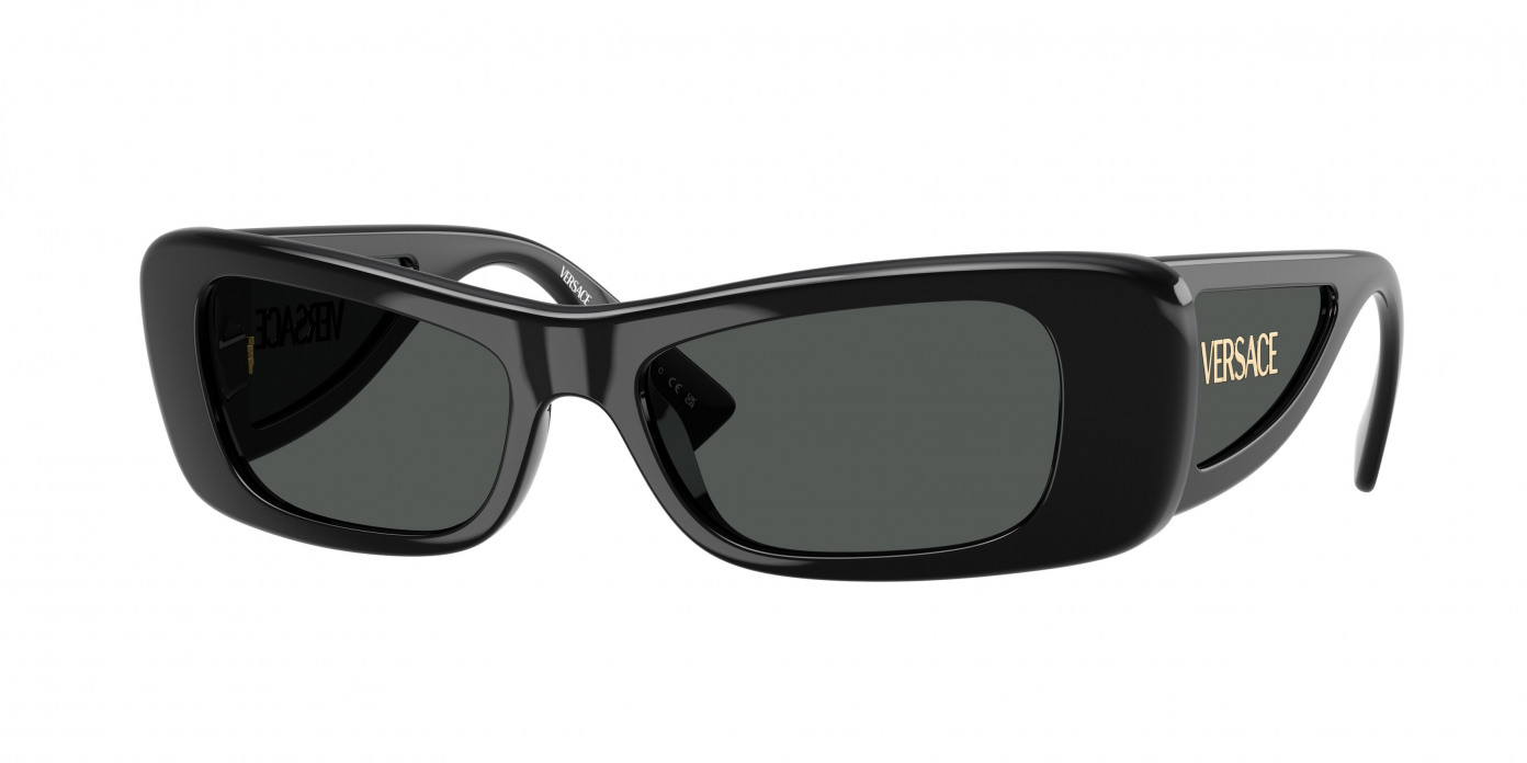 Versace  VE4481 GB1/87 Black (Dark Grey)