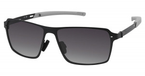Champion Cfits01  -