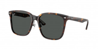 Ray-ban  RB2206D 710/87 Havana (Dark Grey)