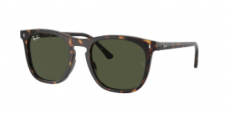 Ray-ban  RB2210 902/31 Havana (Green)