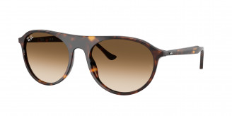 Ray-ban  RB2215 902/51 Havana (Clear Gradient Brown)