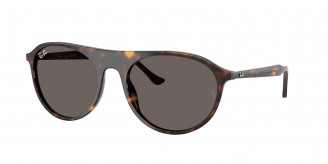 Ray-ban  RB2215 902/B1 Havana (Dark Grey)