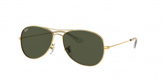 Ray-ban Cockpit RB3362 001 Arista Gold (G-15 Green)