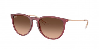 Ray-ban Erika RB4171 6815A5 Rubber Violet (Pink Gradient Brown)