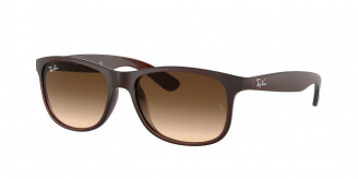 Ray-ban Andy RB4202 607313 Brown (Brown Gradient)