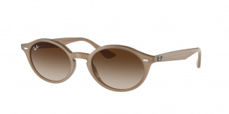 Ray-ban  RB4315 616613 Turtledove (Brown)