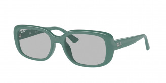 Ray-ban  RB4421D 676287 Algae Green (Light Grey)