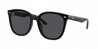 Ray-ban  RB4423D 601/87 Black (Dark Grey)