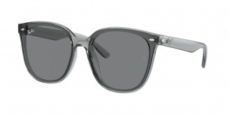 Ray-ban  RB4423D 645087 Transparent Grey (Dark Brown)
