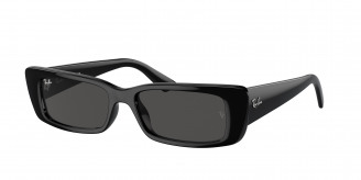 Ray-ban Teru RB4425 667787 Black (Dark Grey)