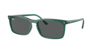 Ray-ban  RB4435 6615B1 Transparent Green (Dark Grey)