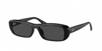 Ray-ban  RB4436D 667787 Black (Dark Grey)