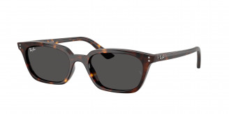 Ray-ban Zaya RB4456 135987 Havana (Dark Grey)
