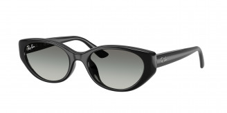 Ray-ban  RB4457D 667711 Black (Grey Gradient)