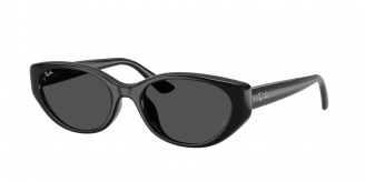 Ray-ban  RB4457D 667787 Black (Dark Grey)