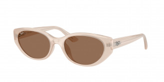 Ray-ban  RB4457D 678673 Opal Beige (Dark Brown)