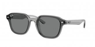 Ray-ban  RB4458D 645087 Transparent Grey (Dark Brown)