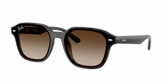 Ray-ban  RB4458D 714/13 Transparent Dark Brown (Gradient Brown)
