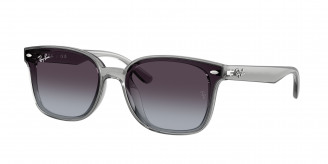 Ray-ban  RB4461D 64508G Transparent Grey (Grey Gradient)