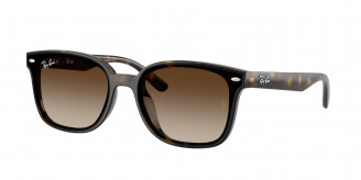 Ray-ban  RB4461D 710/13 Havana (Gradient Brown)