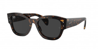 Ray-ban Jorge RB7681S 902/48 Havana Polarized (Black)