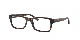 Ray-ban  RX5268 2012 Havana
